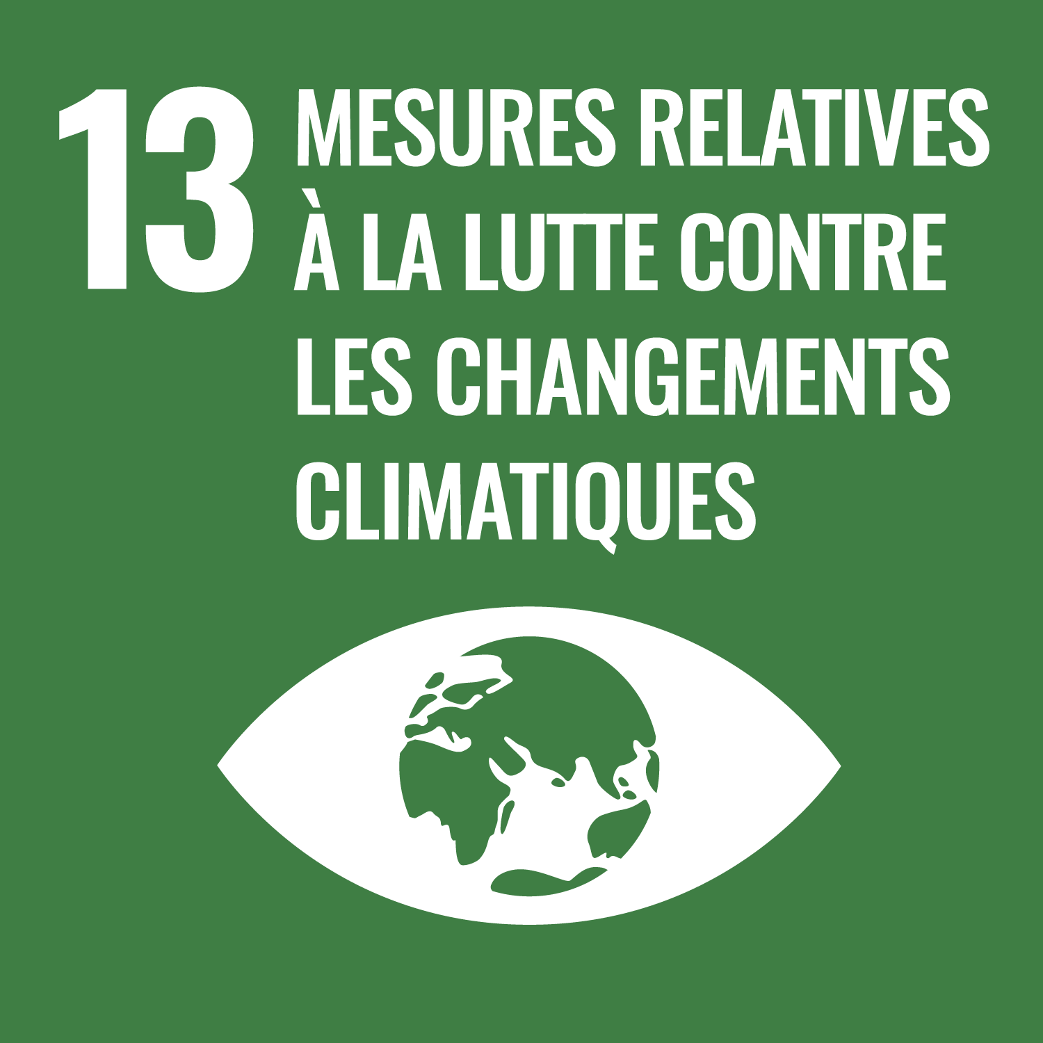  13. Lutte contre les changements climatiques icon