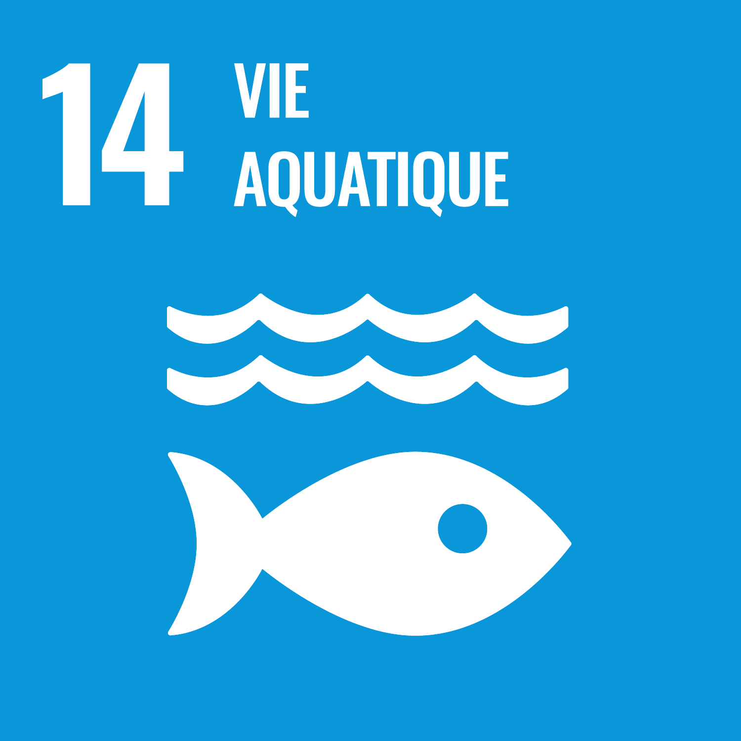  14. Vie aquatique icon