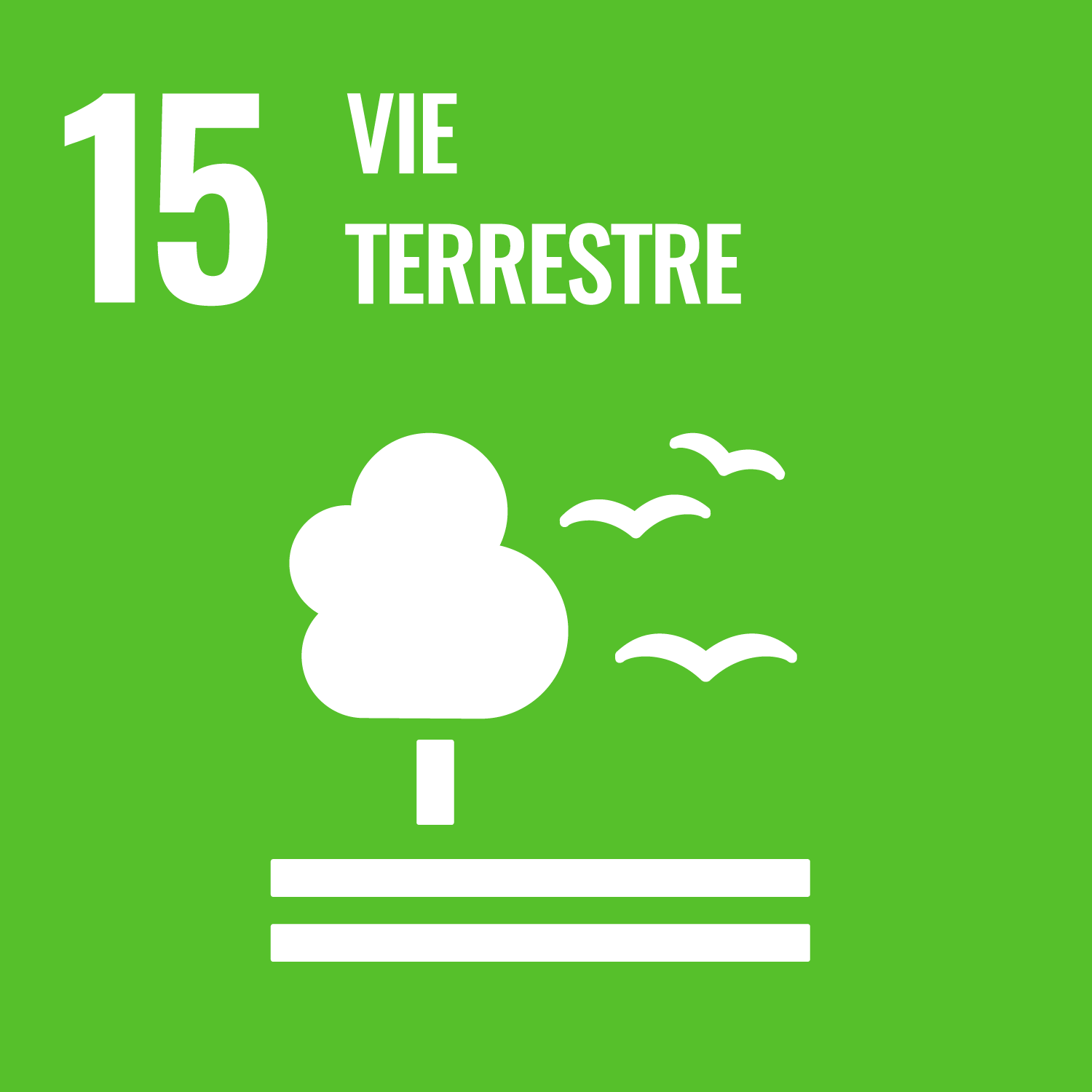  15. Vie terrestre icon