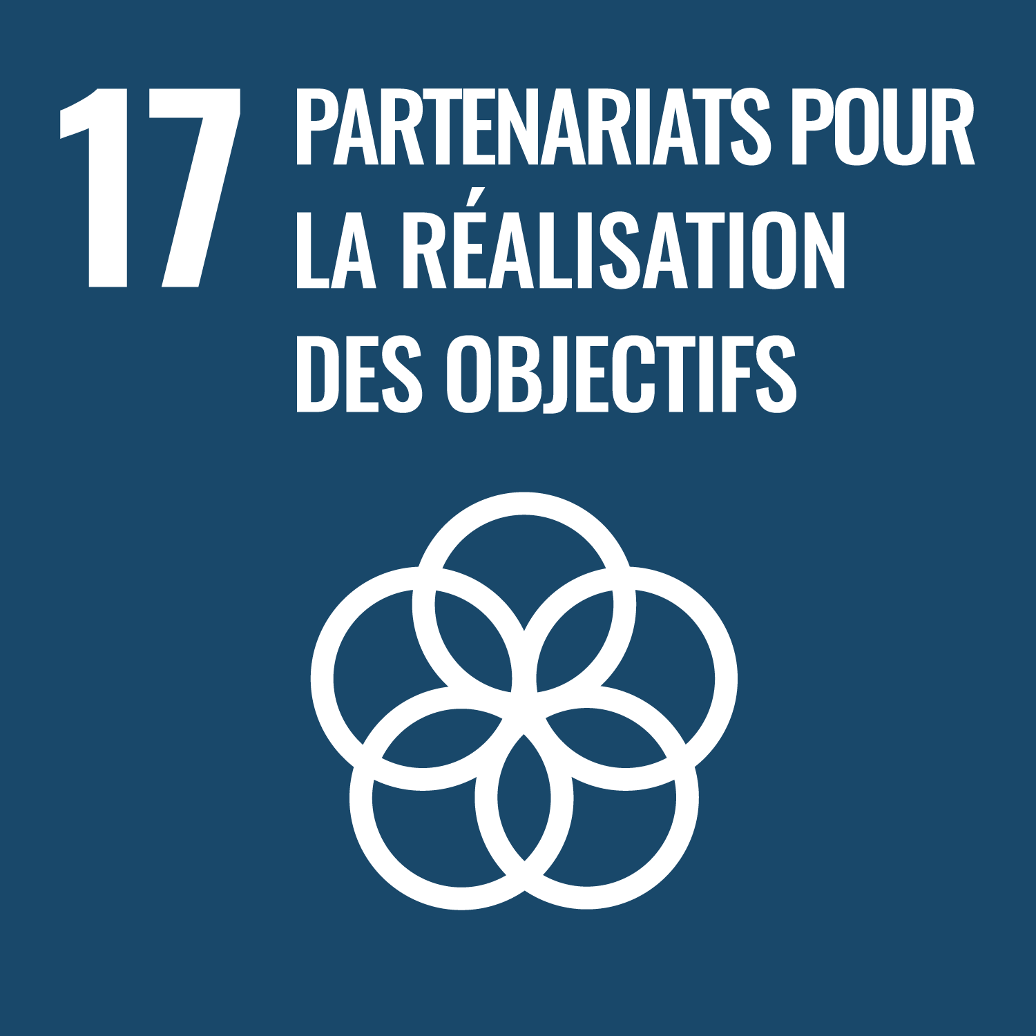  17. Partenariats pour la réalisation des objectifs icon