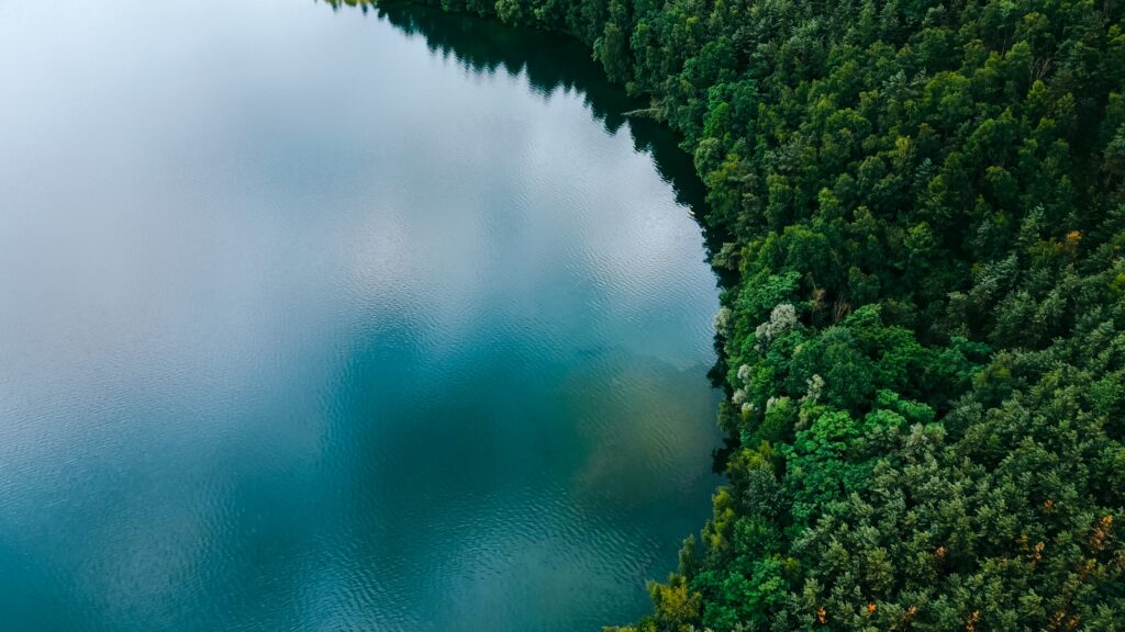 Aerial view of a lake at the edge of a forest.