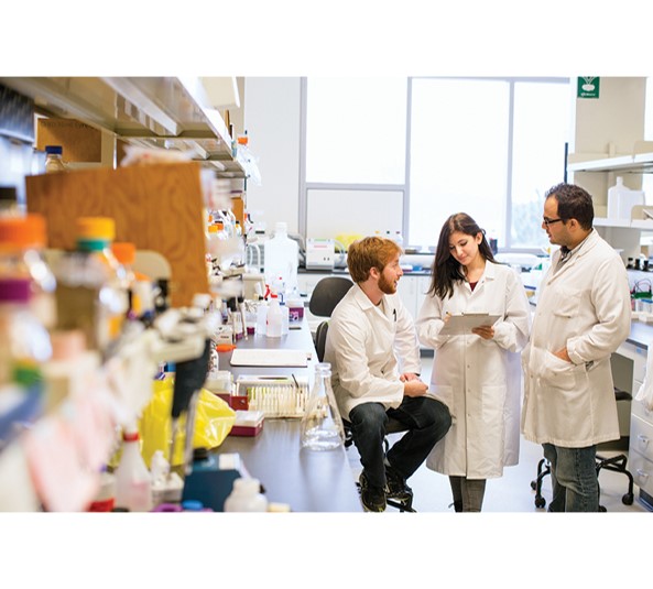 Students working in a lab.