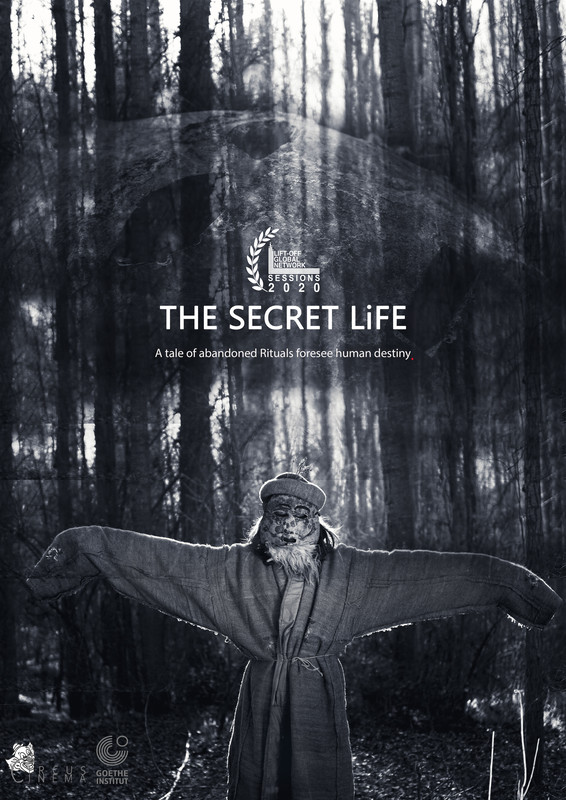 Poster for The Secret Life (2021)