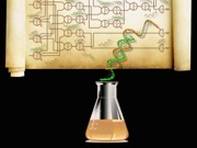 Largest DNA-Based Computer Ever Built Can Calculate Square Roots