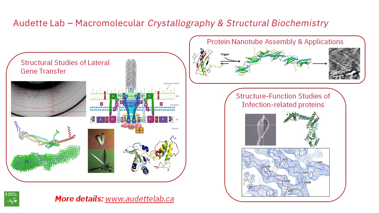 Slide showing various research topics from the Audette lab