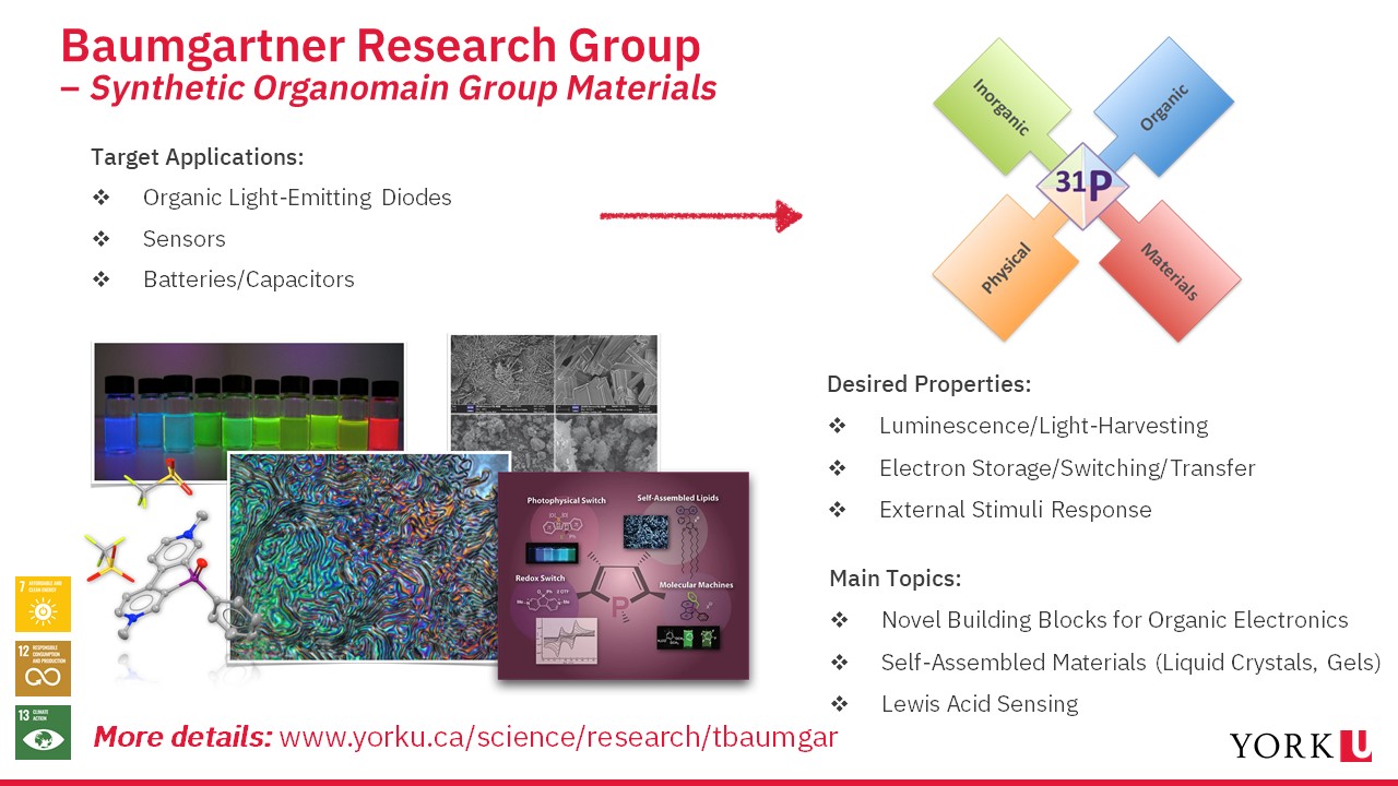 Slide showing research done in Baumgartner lab