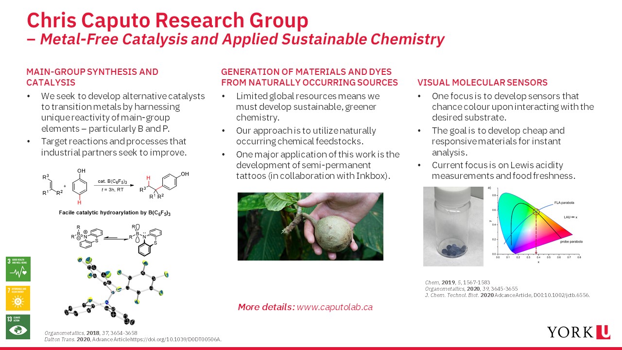 slide showing research done by the Caputo group