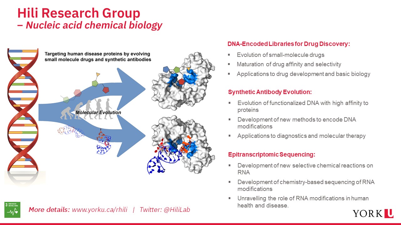 Slide showing research done by the Hili group