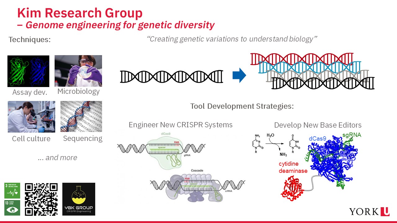 Slide showing the research done by the Kim research group