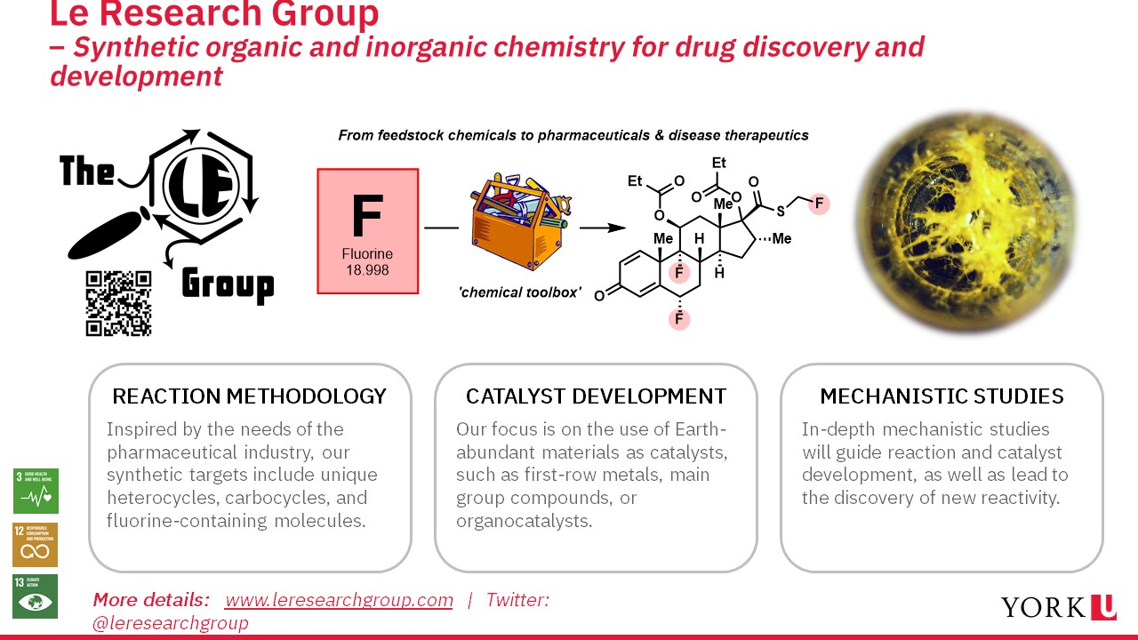 Slide showing research done by the Le group