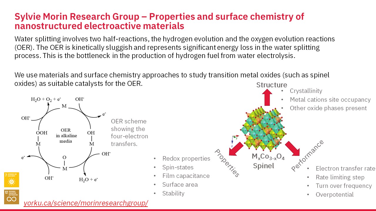 Slide showing research done by Morin group