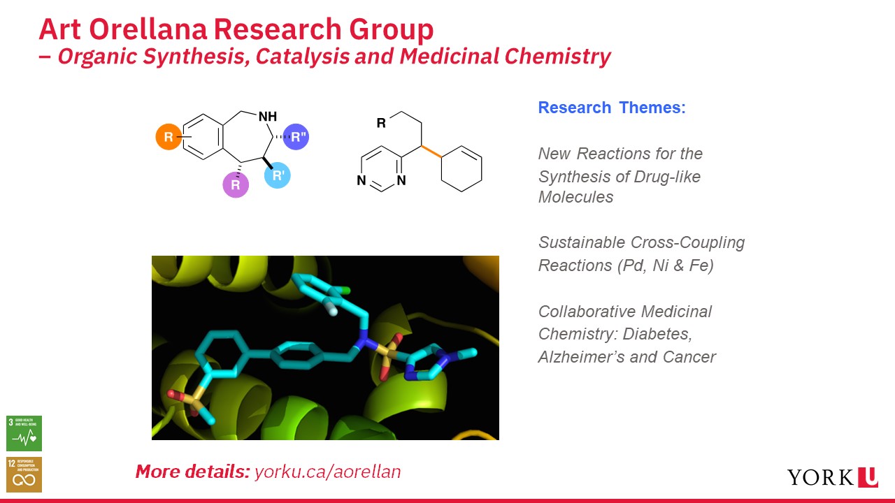 Slide showing research done in Orellana group