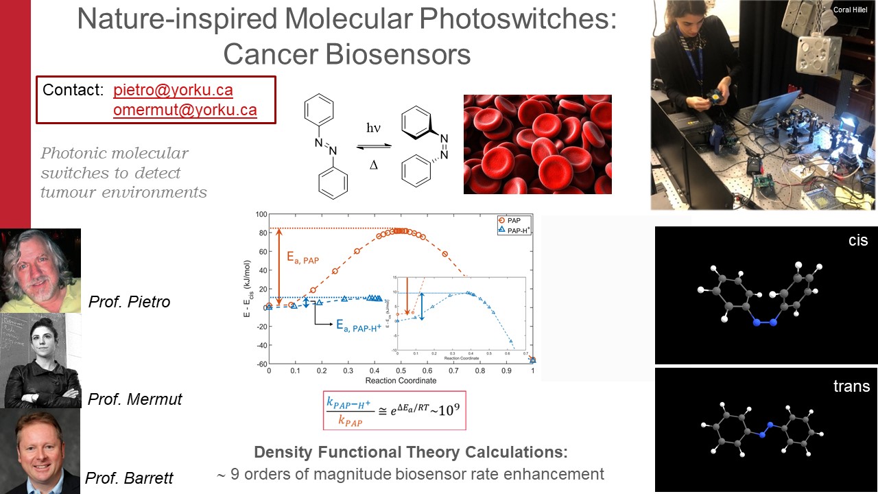 Slide showing research done in Nature inspired Molecular Photoswitches