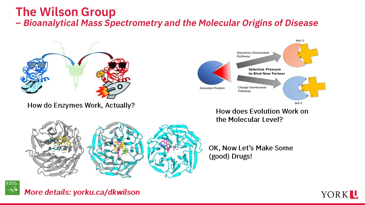 Slide showing research done by the Wilson group