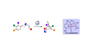 Picture of (+) Lucidumone Molecule