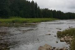 Here we are sampling the Grand River for minnows and crayfish. It was a successful day - caught lots of fish and it didn't rain!