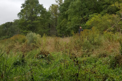 Here we are sampling the Grand River for darters and stonerollers.