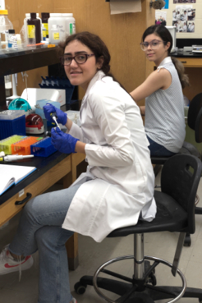 Mina Soufi, ENURA (NSERC) student and Rojin Jalaljalali, volunteer