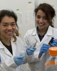 Sheralyn Au and Aryan Lajevardi, Biology Research Practicum students