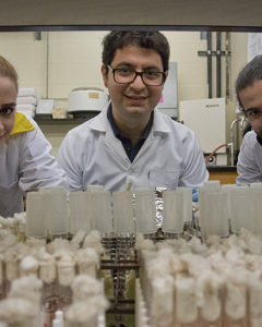 Rosa Eskandari, PhD student; Milad Falahat Chian, PhD student; Moe Alqasem, Honours Thesis student