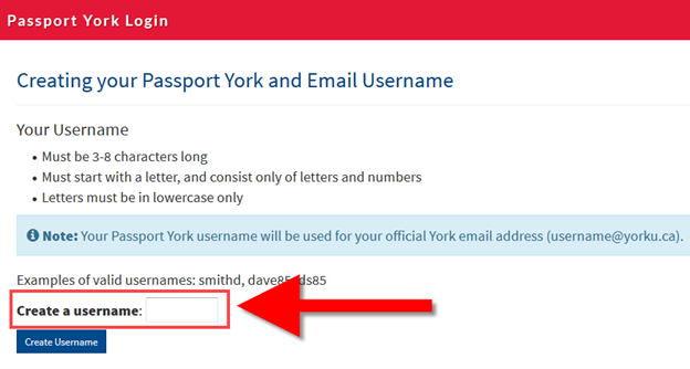 Instructions for setting up Passport York