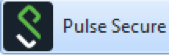 pulse secure icon