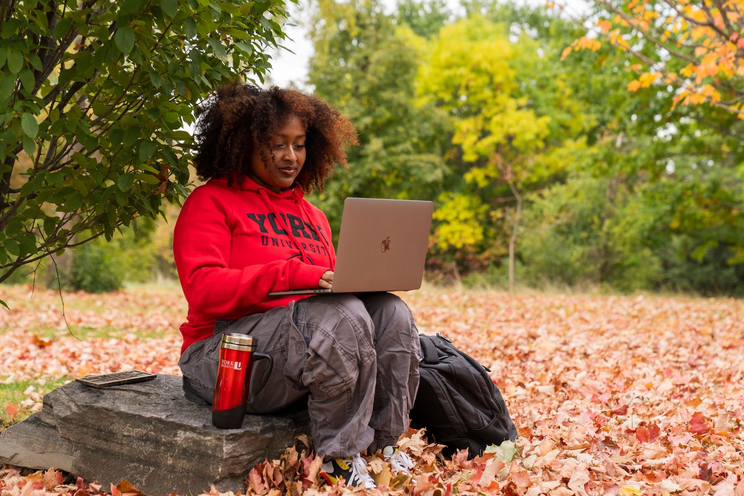 York announces new funds to promote Black scholarship