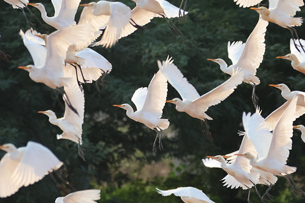 Research discovers air quality monitoring stations collect critical biodiversity data