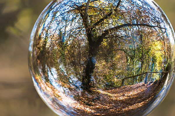 York University funds $4.05M to support interdisciplinary research for the UN SDGs