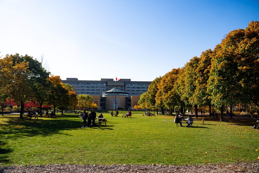 History of Well-being at York