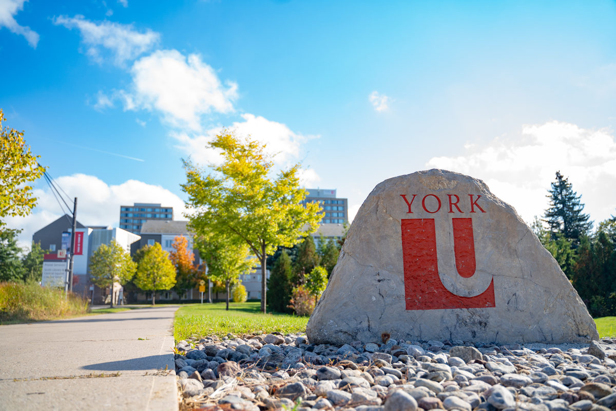 research positions yorku