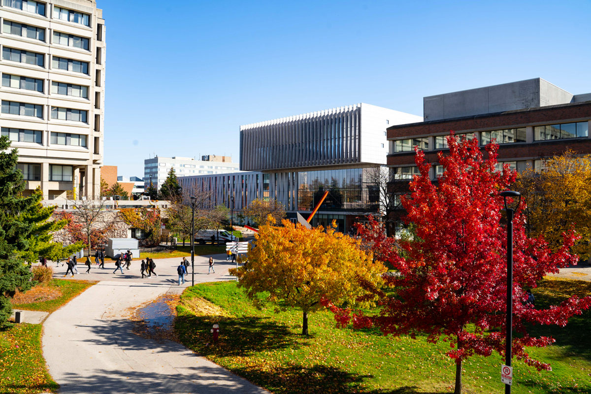 york university travel