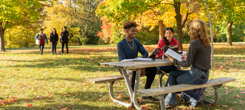 A diverse group of students mingling on a picnic table on a grassy area.