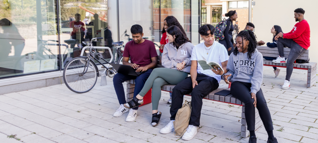 visit york university