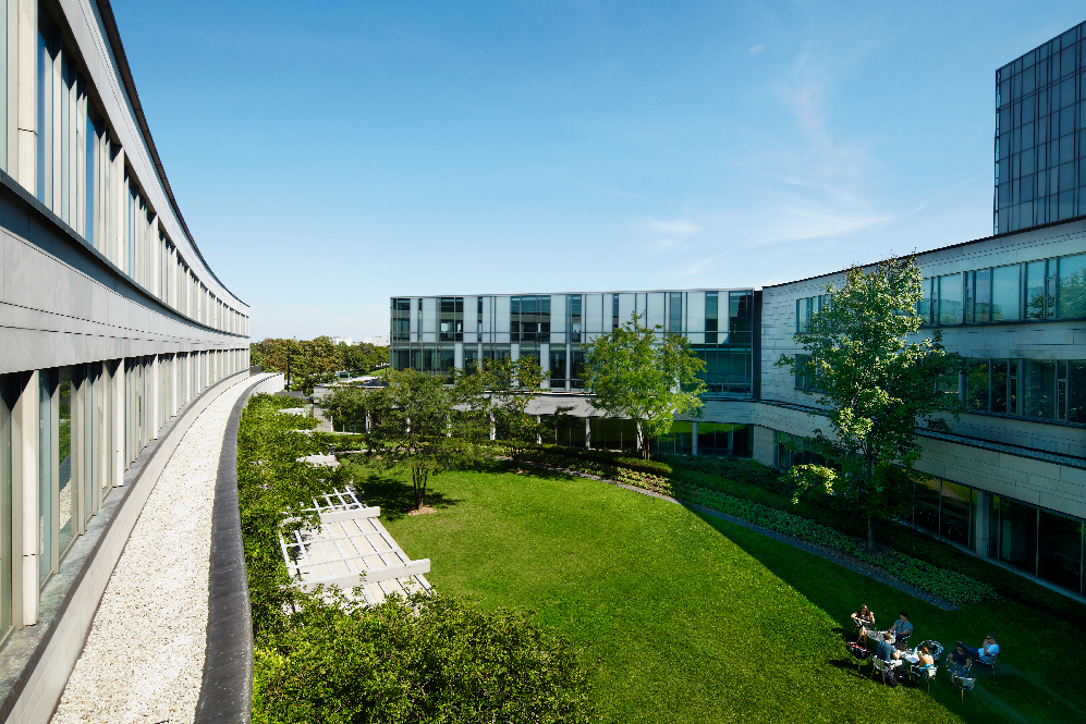 schulich courtyard in the summer