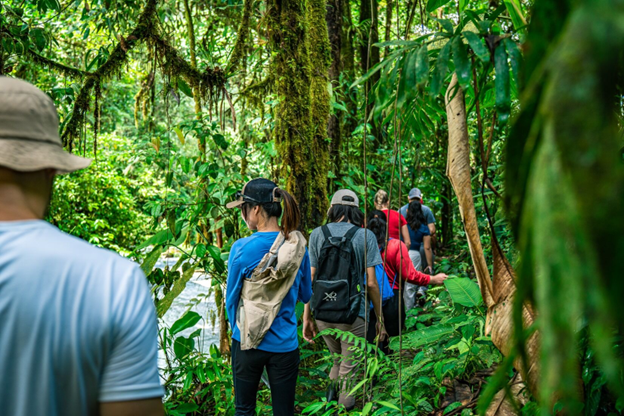 Students hiking in the rainforest in Costa Rica. Photo by Timothy Ong